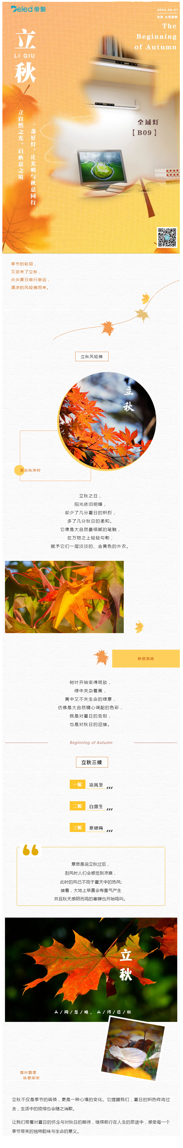 立自然之光，啟秋意之境
